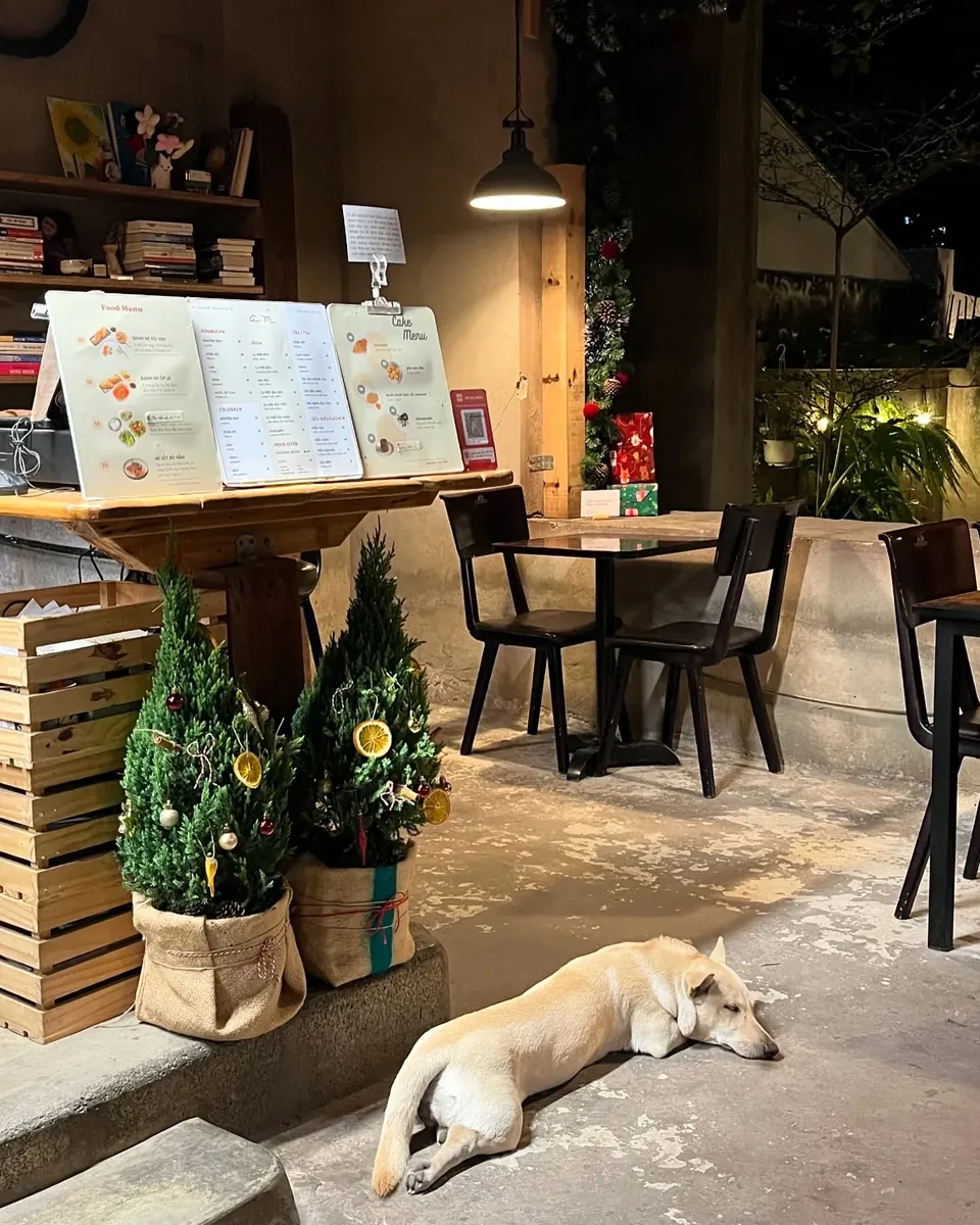 AM Phinpour atmosphere